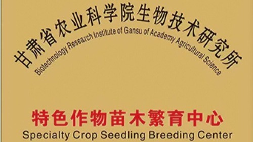 甘肅省農科院生物技術研究所特色作物苗木繁育中心